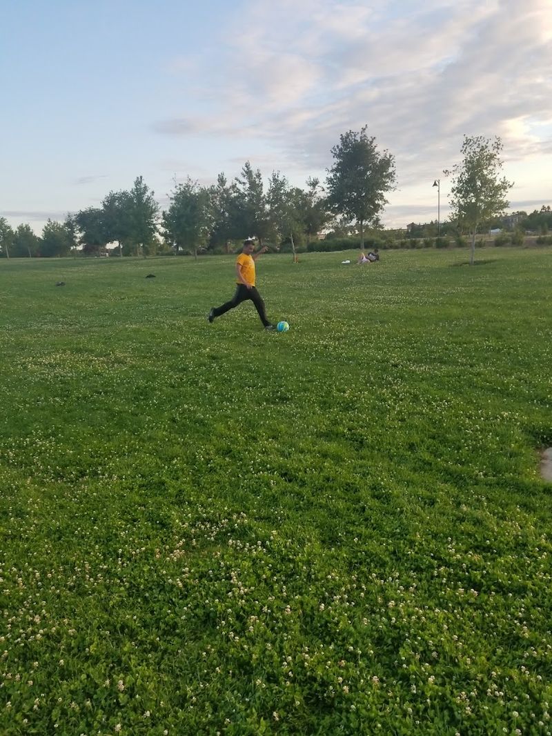 Plenty of Open Green Space for Spontaneous Fun