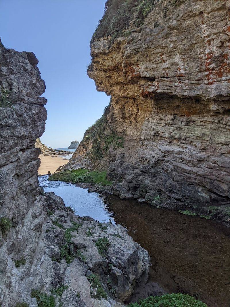 Point Reyes National Seashore – California