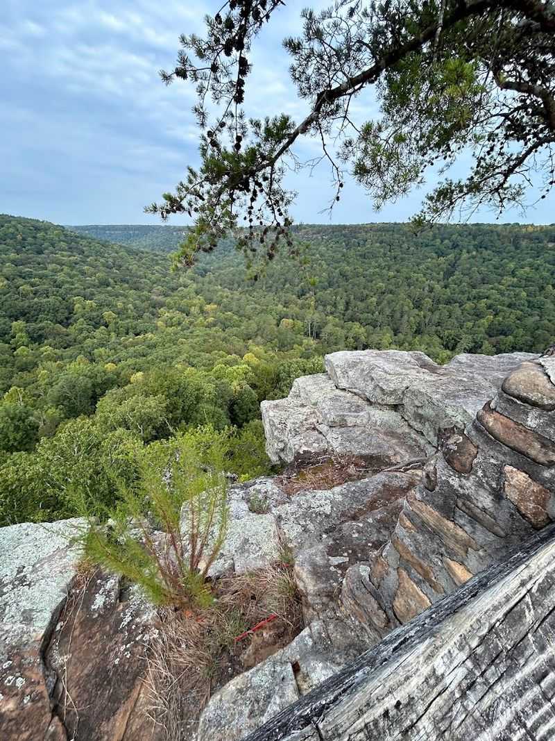 Point Rock Trail and the Overlook That Pays Off Big Point Rock Trail and the Overlook That Pays Off Big