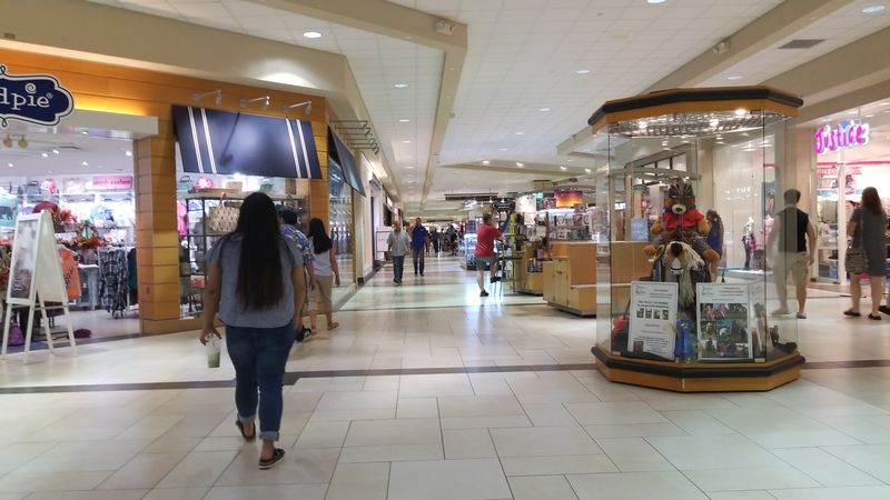 Pokemon Card Shops That Bring Out the Kid in Everyone