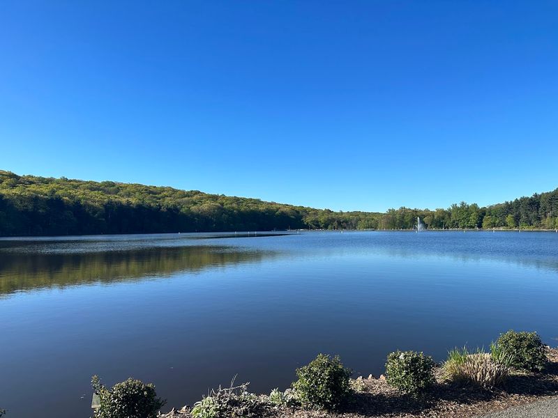 Pond Fishing: Cast a Line and Unplug for a While