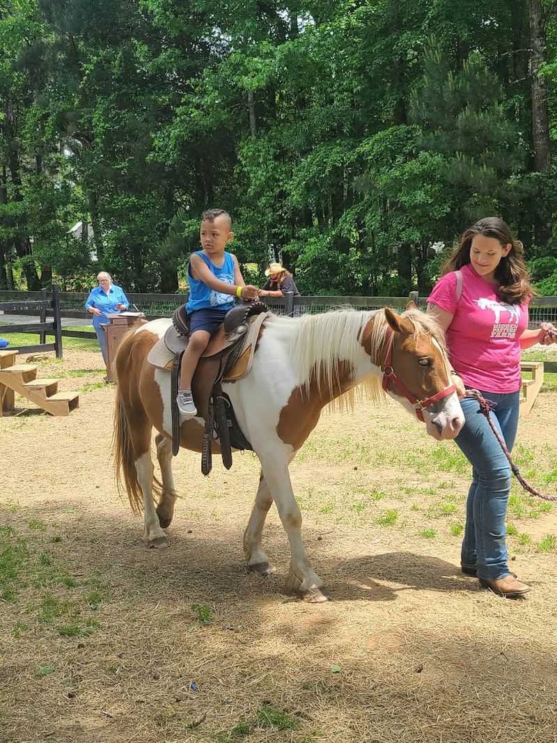 Pony Rides That Make Kids Feel Like Royalty Pony Rides That Make Kids Feel Like Royalty