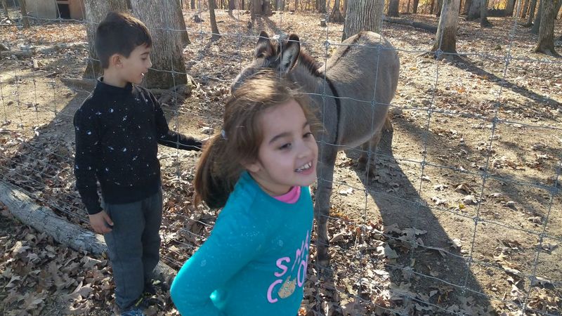 Pony Rides for the Little Cowboys and Cowgirls