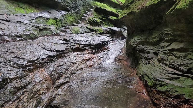 Practical Tips Before You Hit the Trails