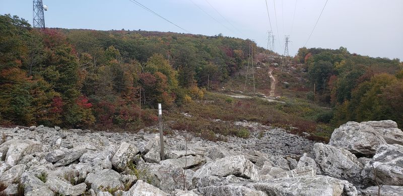 Practical Tips for Hiking Maryland's Cliff Sections Safely