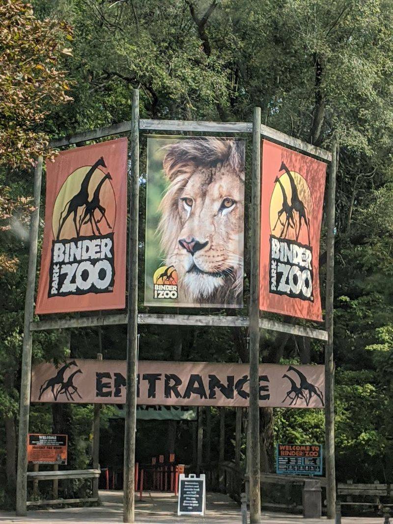 Practical Tips for Planning Your Perfect Visit to Binder Park Zoo