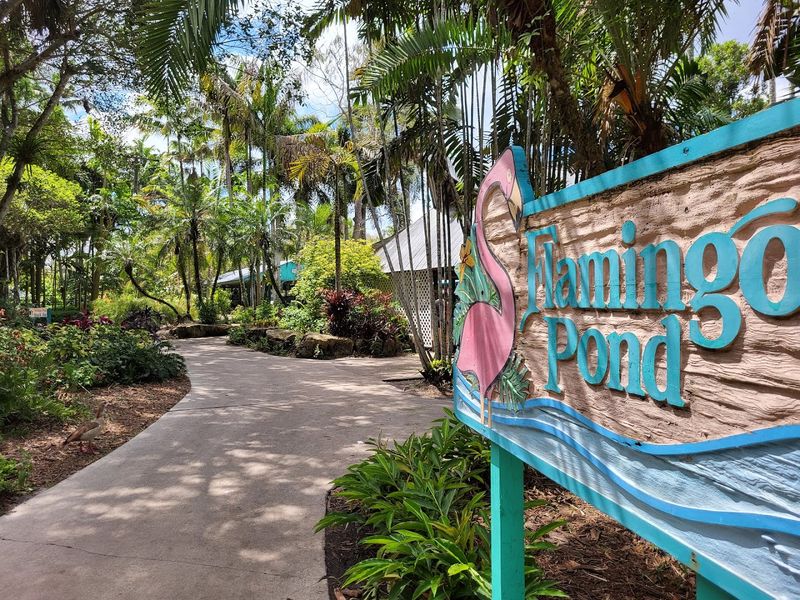 Practical Tips for Visiting Flamingo Gardens