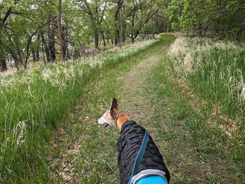 Prairie and Oak Woodland Hiking Trails Worth Exploring