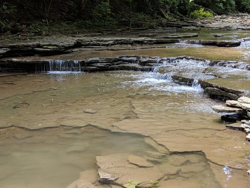 Prehistoric Indian Mound: History Written in the Earth