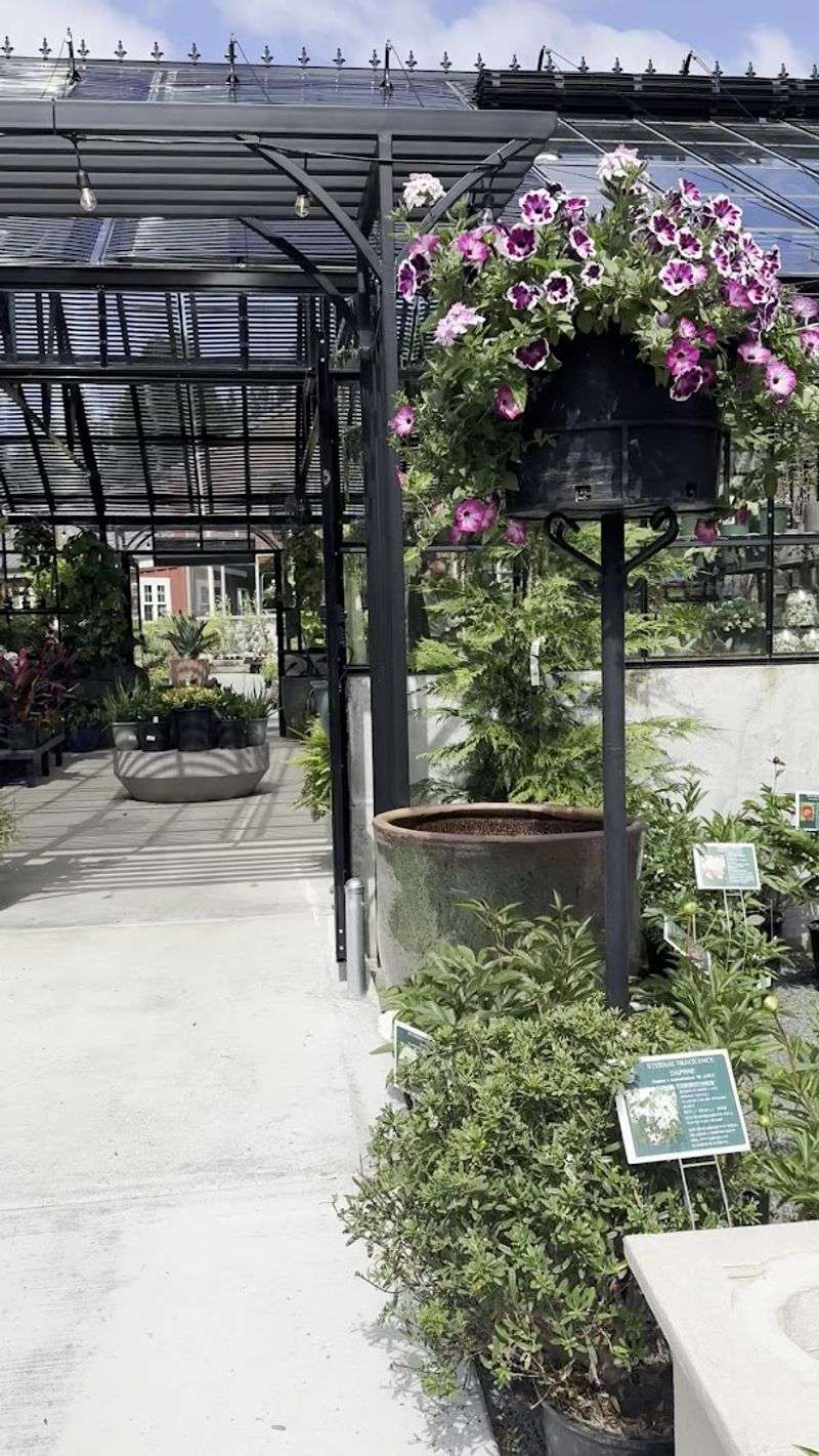Privacy Screenings for a More Peaceful Backyard