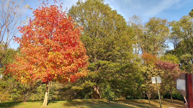 Proximity to Bon Air Park and Other Local Gems