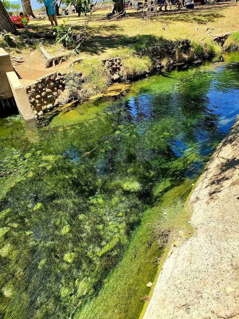 Proximity to Fort Davis and Alpine for Day Trips