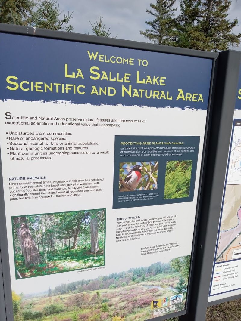 Proximity to Itasca State Park: Double the Adventure