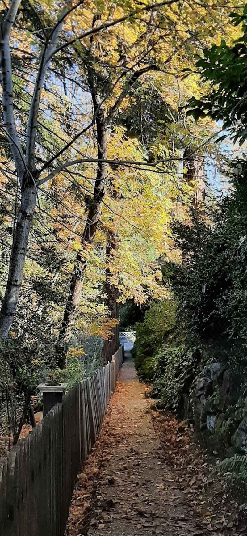 Proximity to Nevada City and Post-Hike Dining