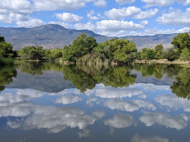 Proximity to Sedona and Jerome
