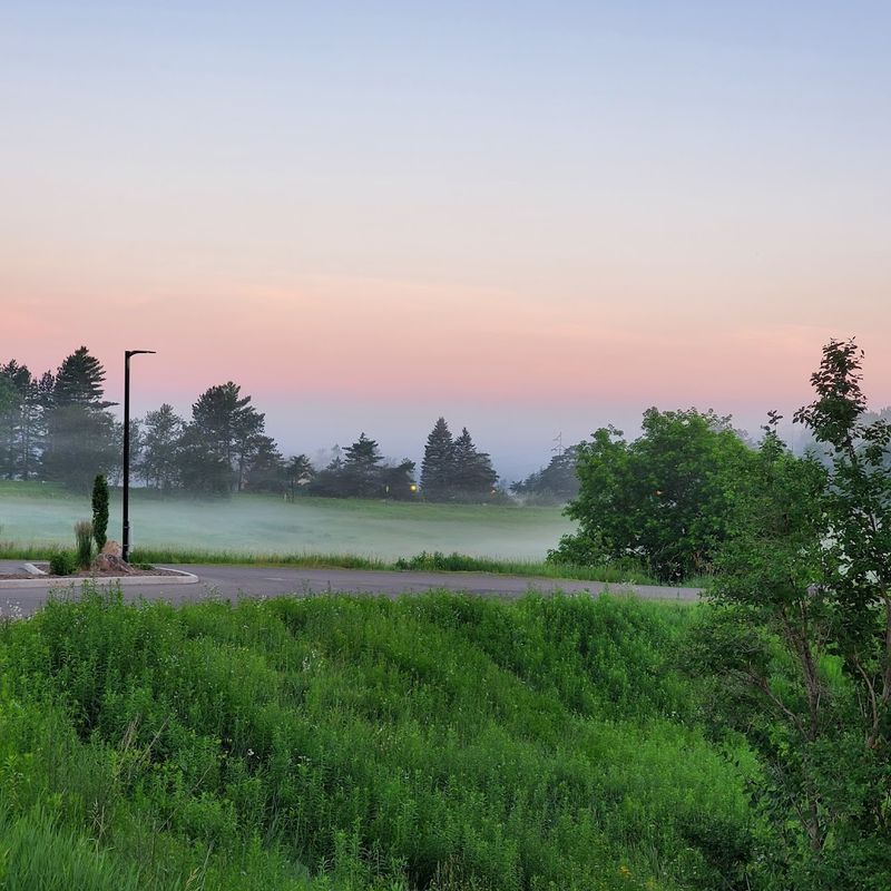 Proximity to the Breathtaking Beauty of the Upper Peninsula