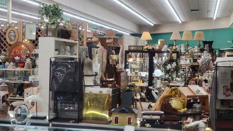 Quirky Collectibles You Would Never Expect to Find
