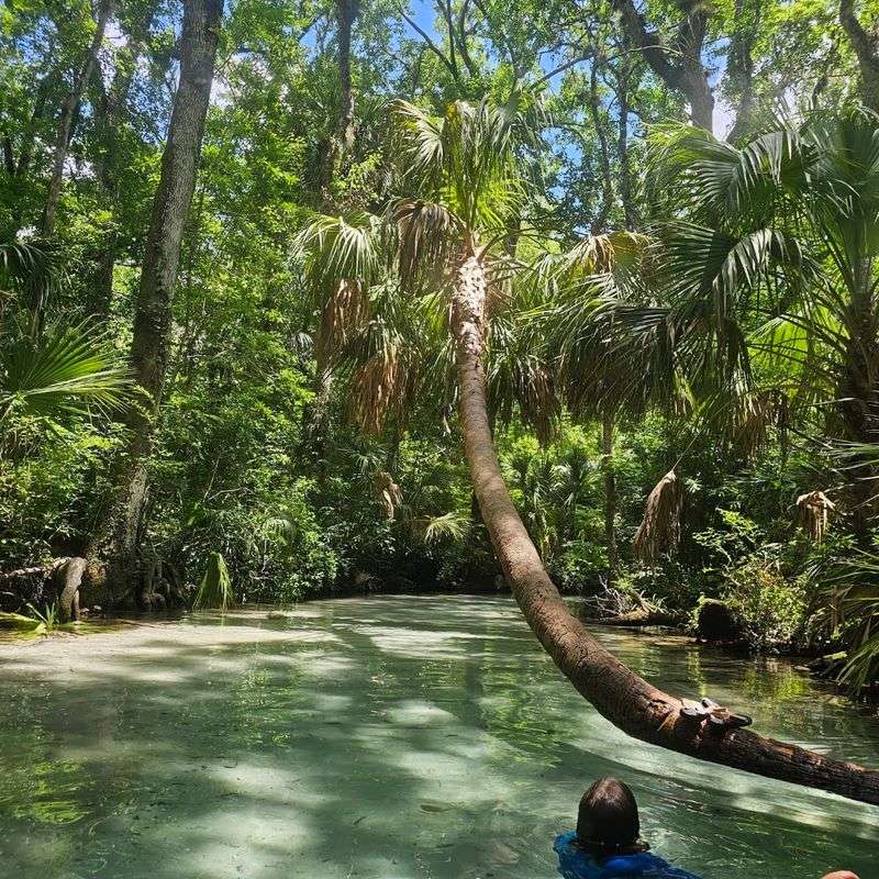 Rainbow Springs State Park - Dunnellon