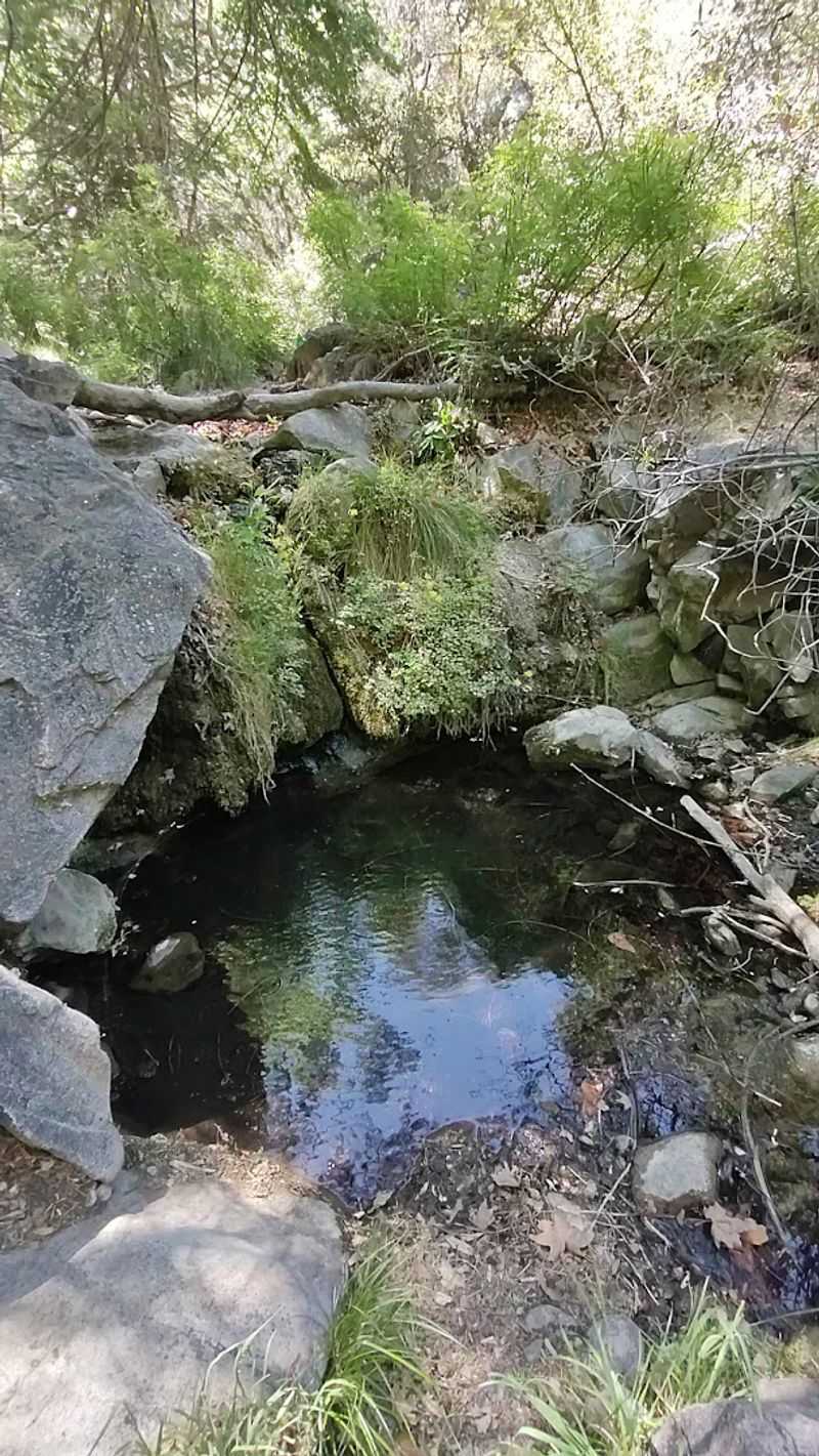 Ramsey Canyon Preserve — A Birdwatcher's Dream Ramsey Canyon Preserve — A Birdwatcher's Dream