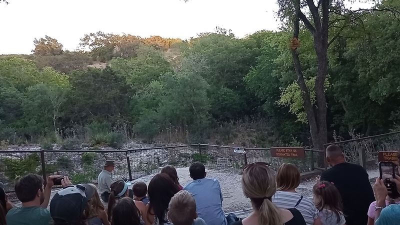 Ranger-Led Talks That Make the Experience So Much Richer