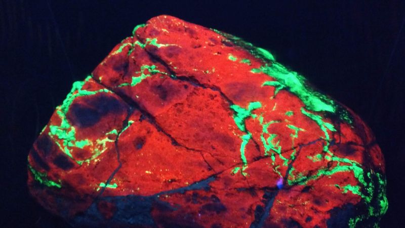 Rare Minerals, Meteorites, and Even a Dinosaur Egg Fossil