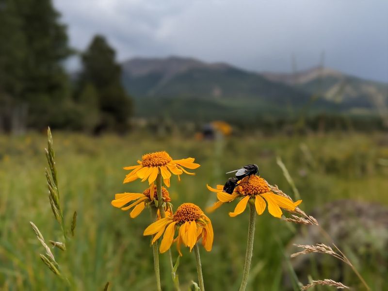 Rare Plant Life and Native Vegetation Worth Exploring Rare Plant Life and Native Vegetation Worth Exploring