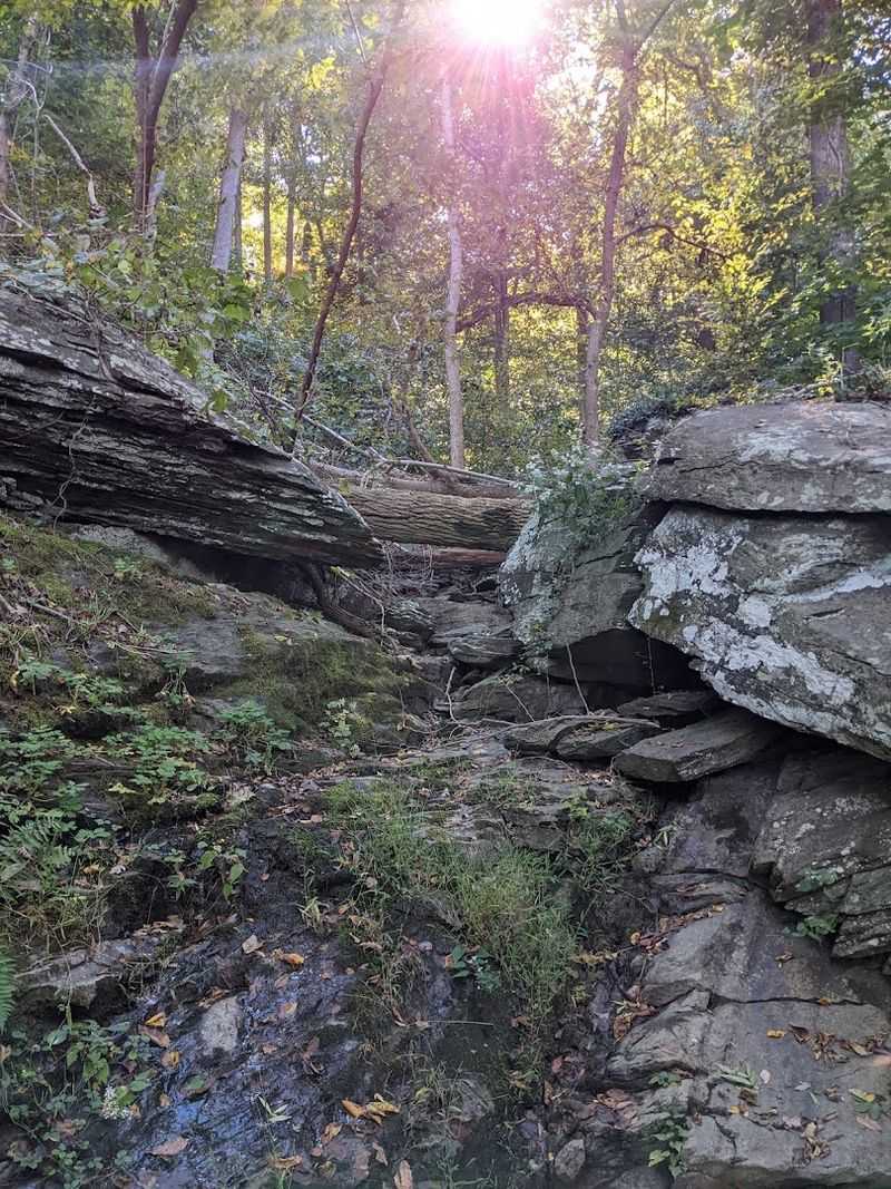 Raven Rock Hollow: Geology and Grandeur Combined