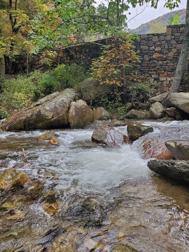 Recovery After Hurricane Helene and the Cave's Resilience