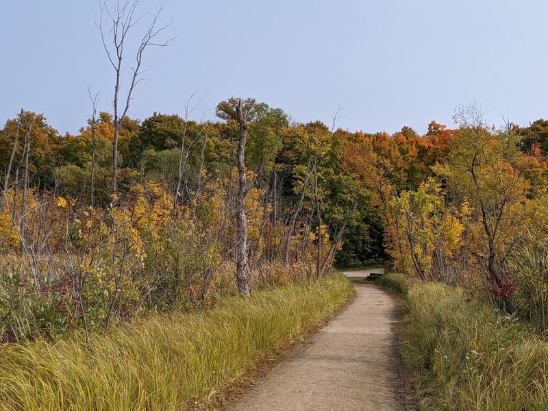 Remarkable Hiking Trails Through Forests, Prairies, and Bogs