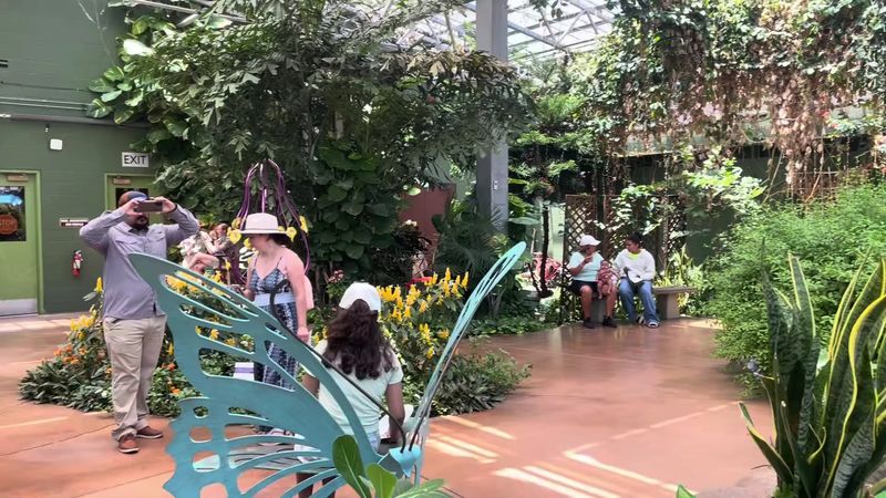 Reptile and Amphibian Displays