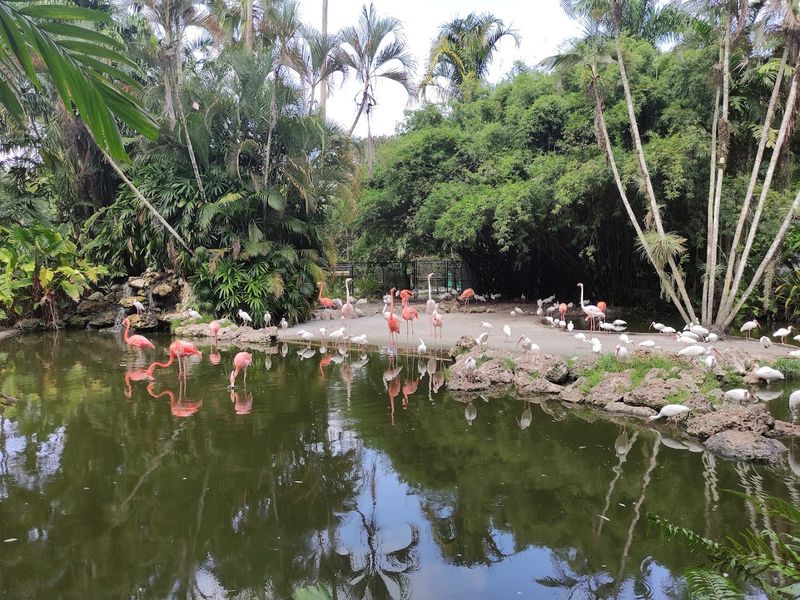 Rescued Wildlife and Rehabilitation Stories