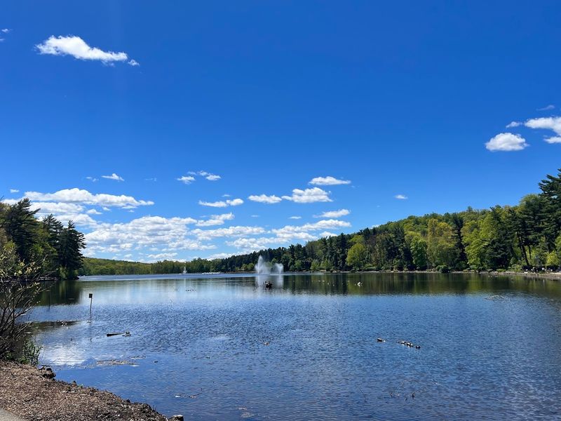 Reservoir Loop: A Scenic Stroll Around Still Water