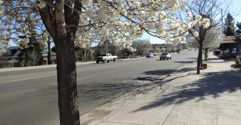 Retirees Are Discovering This Peaceful Arizona Desert Town For Its Affordable Lifestyle