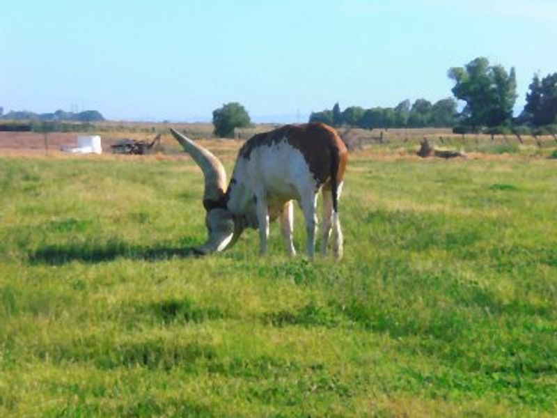 Rich Agricultural Heritage That Feeds The Region