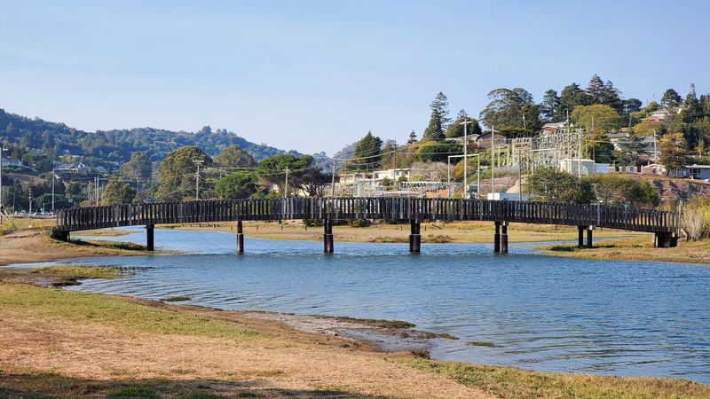 Ride the Historic Mount Tamalpais and Muir Woods Railway Route