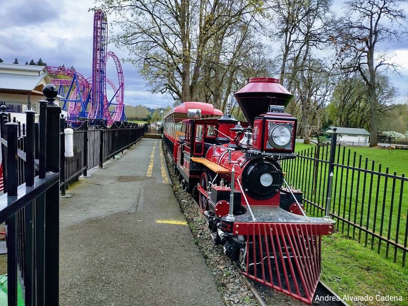 Rides for Every Age Group and Thrill Level