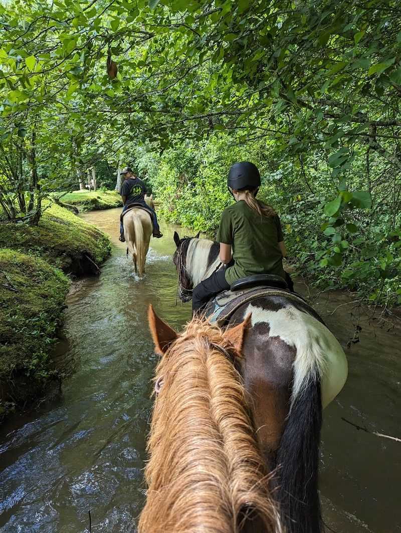 Riding Through the Creek Like a True Mountain Adventurer