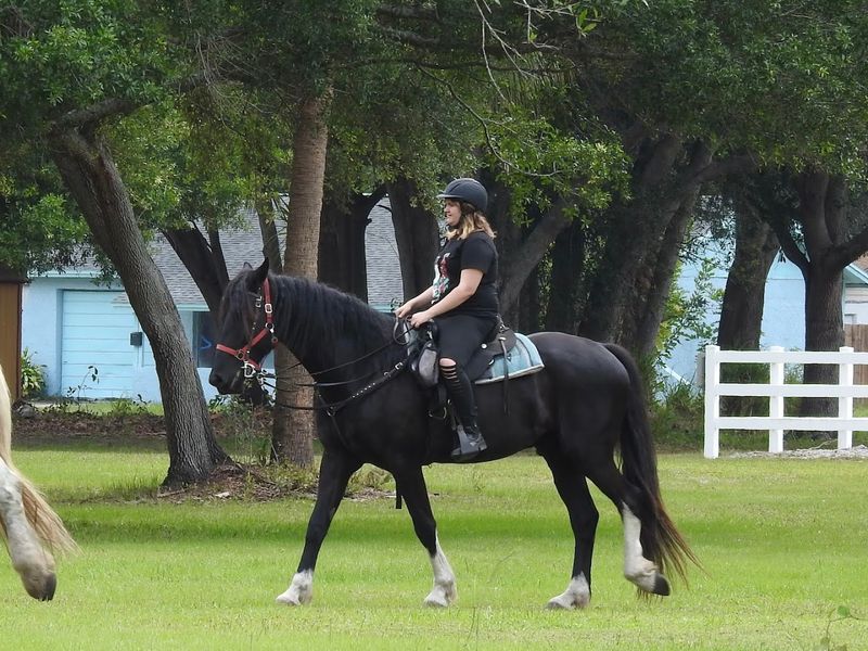 Riding as Therapy: Emotional and Physical Benefits Riding as Therapy: Emotional and Physical Benefits