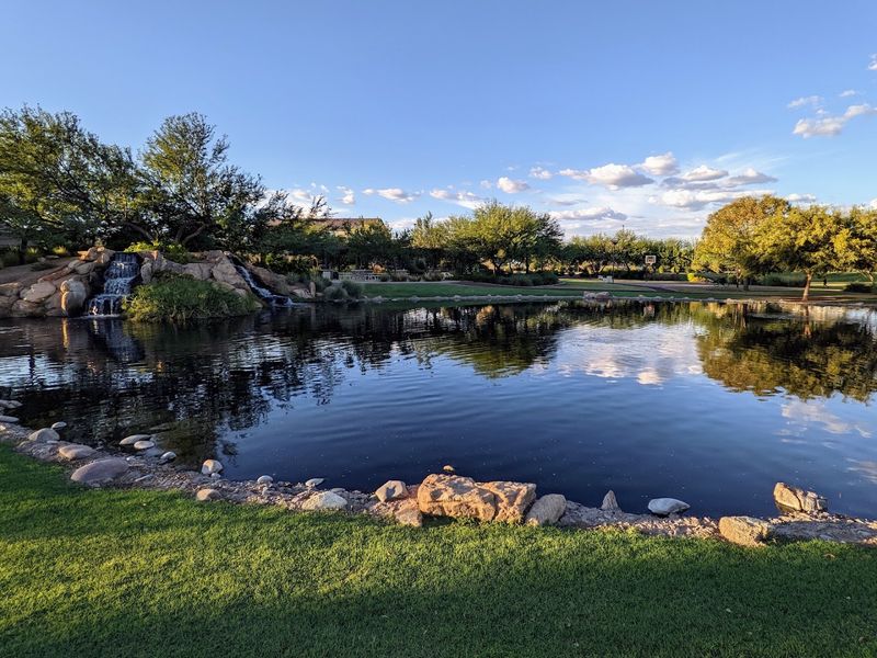 Riparian Preserve at Water Ranch: A Nature Escape Right in the Suburbs