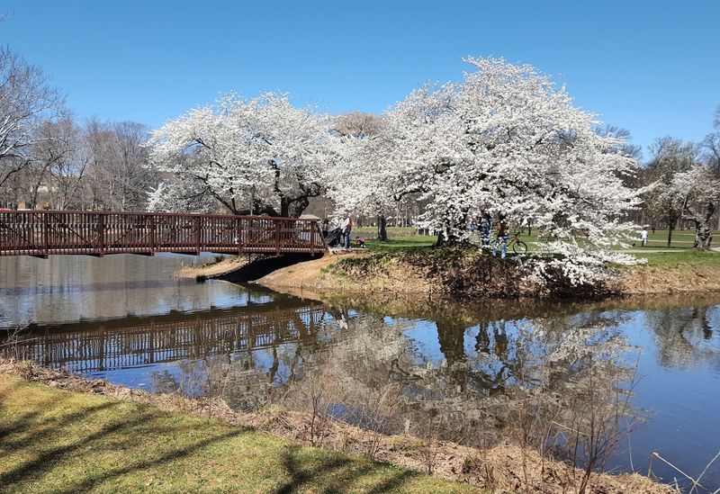 Riverside Park and the Rahway River Scene Riverside Park and the Rahway River Scene