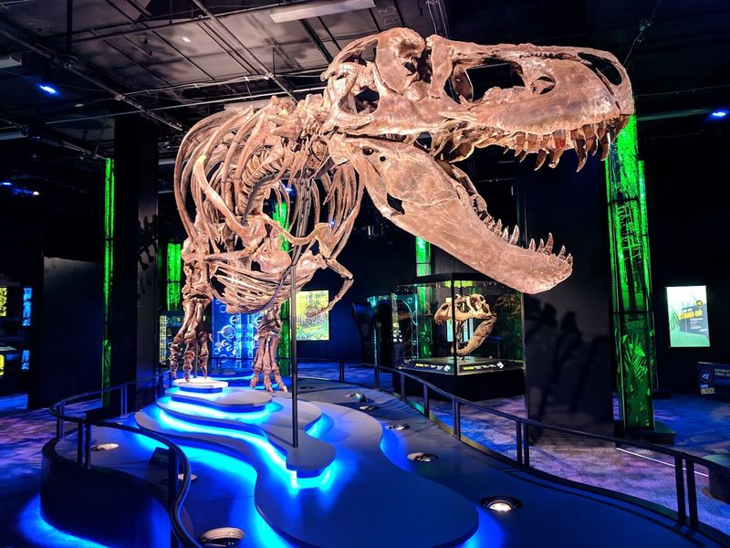 Roaming Exhibits Without the Crowd of Kids Roaming Exhibits Without the Crowd of Kids