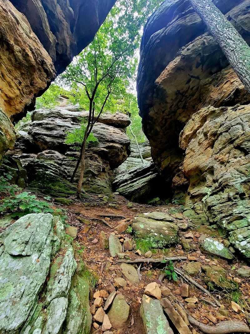 Rock Formations That Feel Like a Natural Sculpture Garden