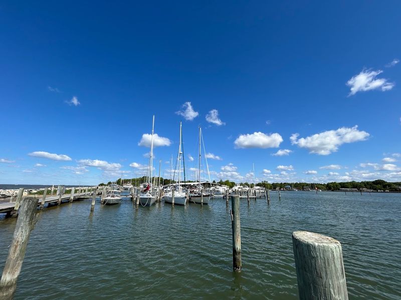 Rock Hall's Beloved Marina Scene Rock Hall's Beloved Marina Scene