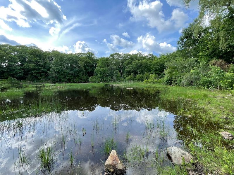 Rock Meadow Conservation Area: Nature at Its Most Serene