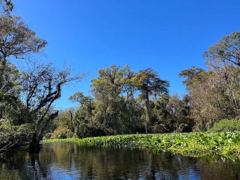 Rock Springs Run State Reserve - Sorrento, Florida Rock Springs Run State Reserve - Sorrento, Florida