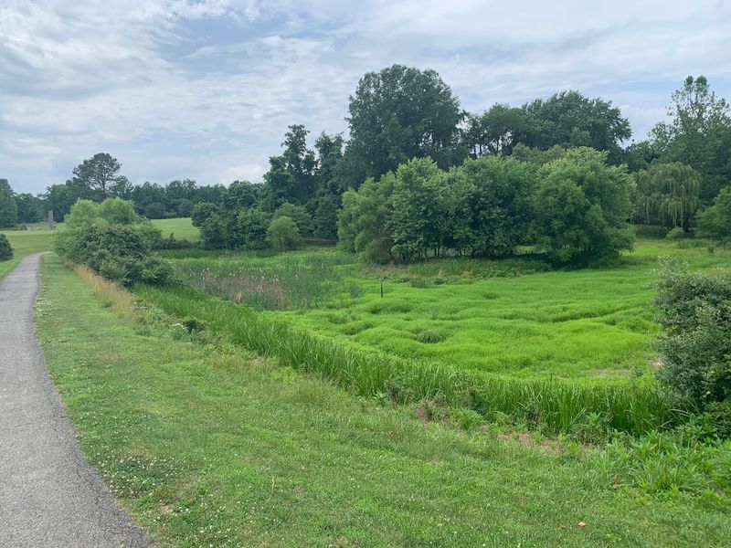 Rockfield Park: Nature Right in the Middle of Town