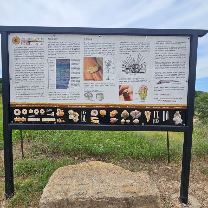 Rockhounding Bonus — Colorful Minerals Hidden Among the Fossils Rockhounding Bonus — Colorful Minerals Hidden Among the Fossils