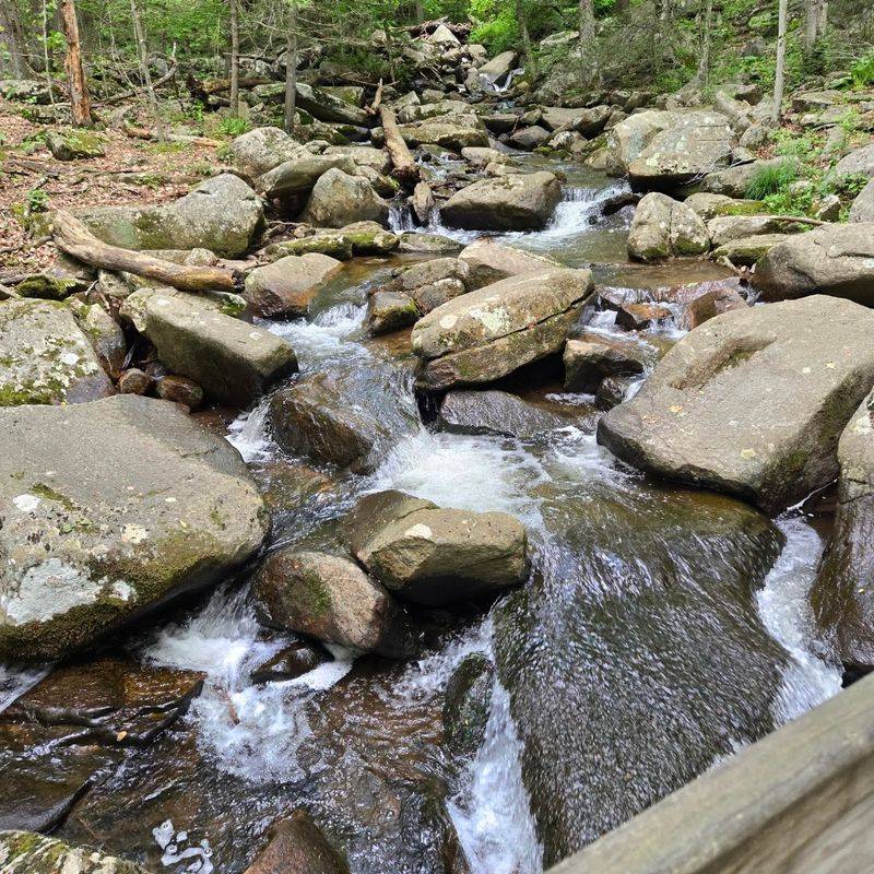Rocky Terrain That Challenges Every Hiker Rocky Terrain That Challenges Every Hiker