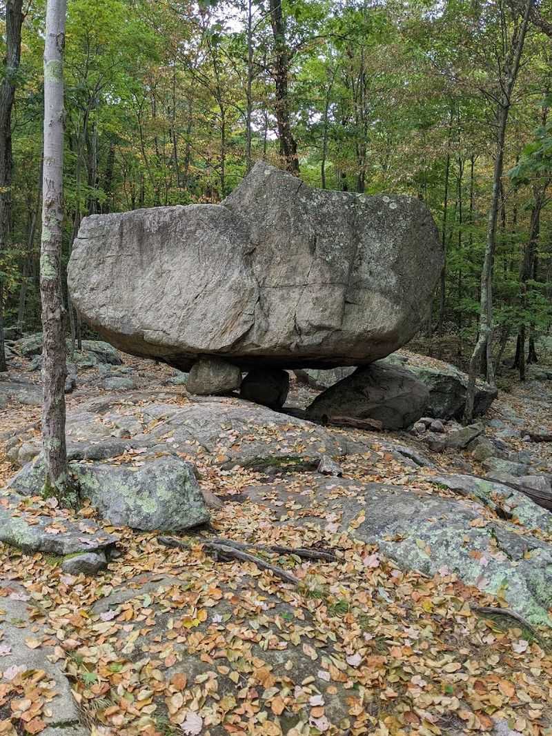 Rocky Terrain That Makes Every Step an Adventure Rocky Terrain That Makes Every Step an Adventure