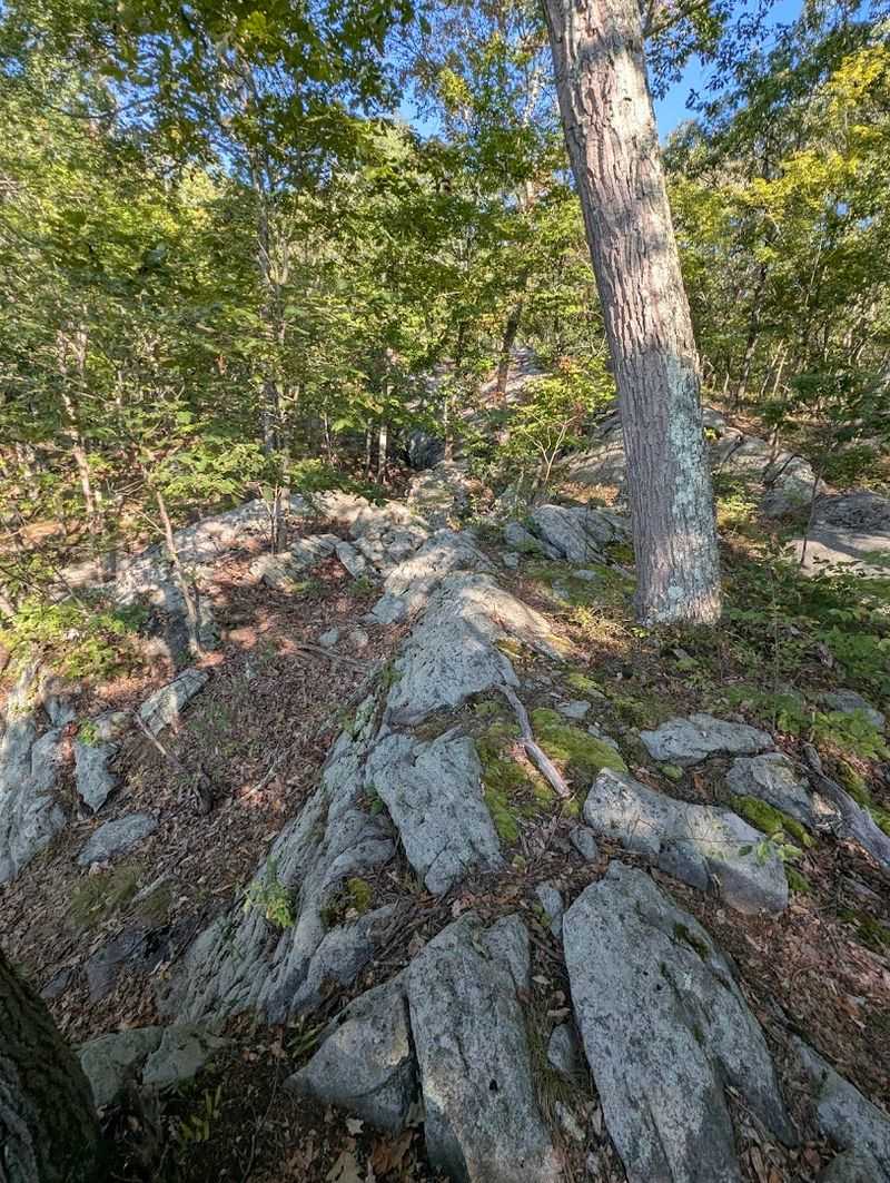 Rocky Trails That Give You a Real Workout Rocky Trails That Give You a Real Workout